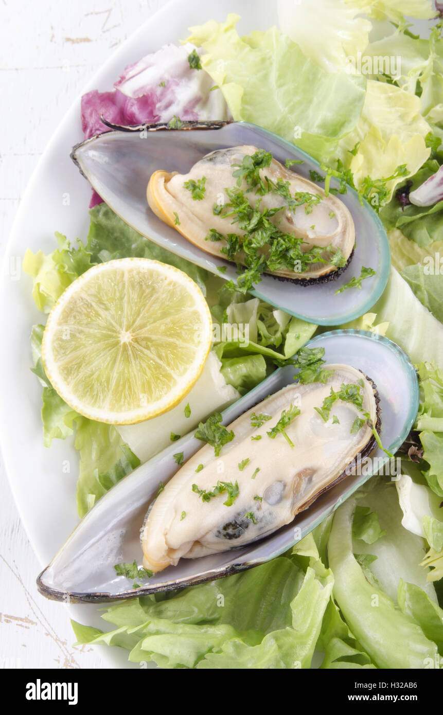 Green lipped mussel new zealand hires stock photography and images Alamy