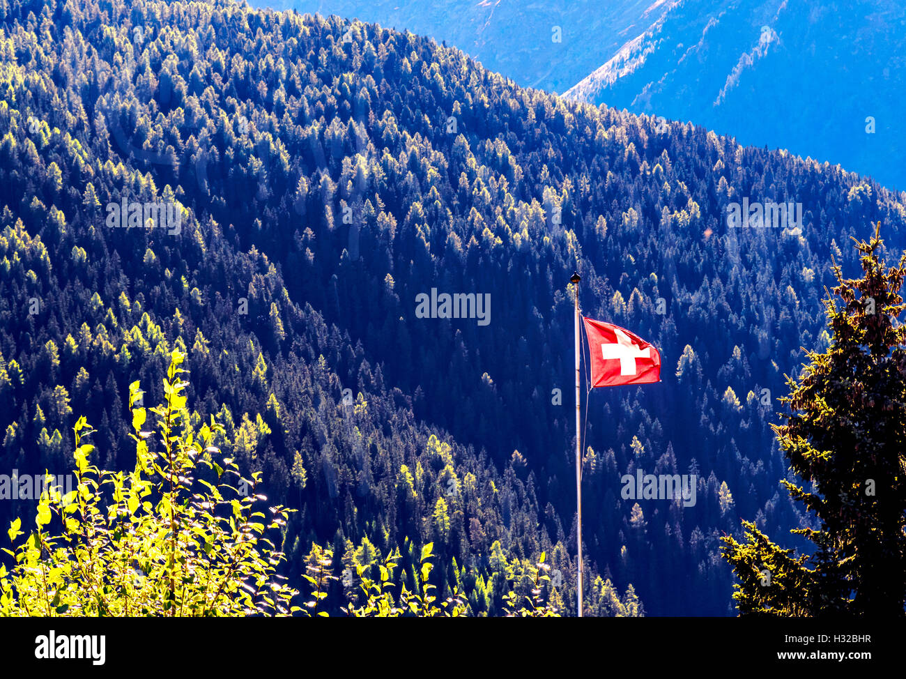 Swiss Flag in the mountains; schweizer Fahne in den Bergen Stock Photo