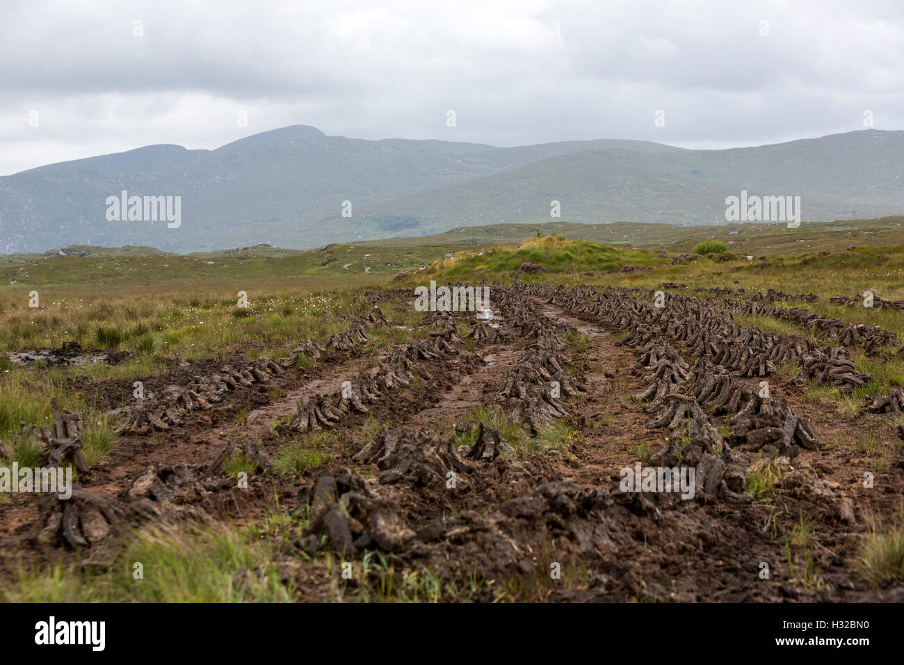 Drying Turf banks, in Donegal County, Ireland Stock Photo Alamy