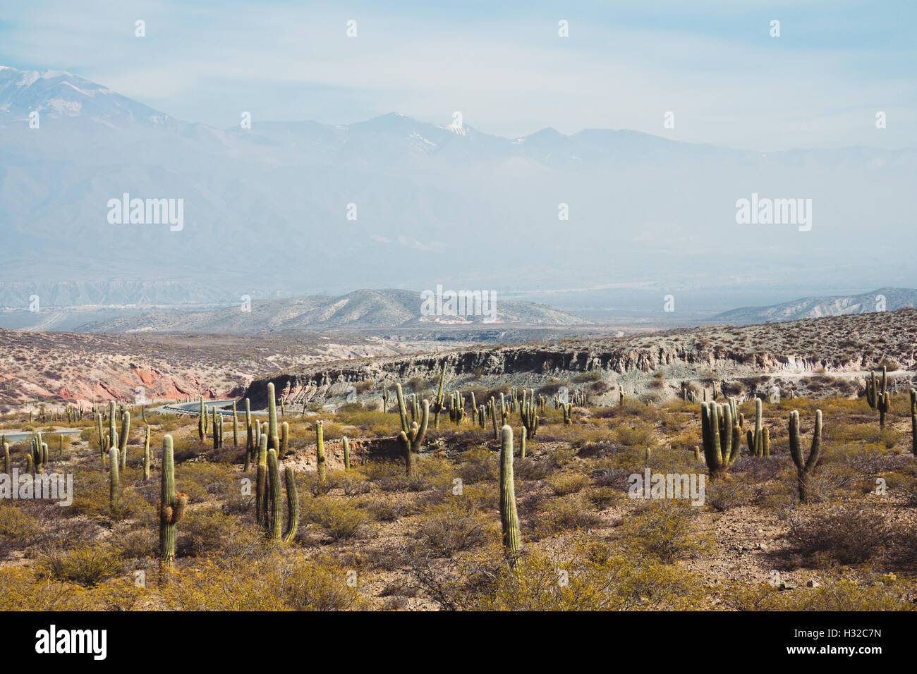 Panoramic view of Los Cardones National Park. Province of Salta, Argentina. Stock Photo