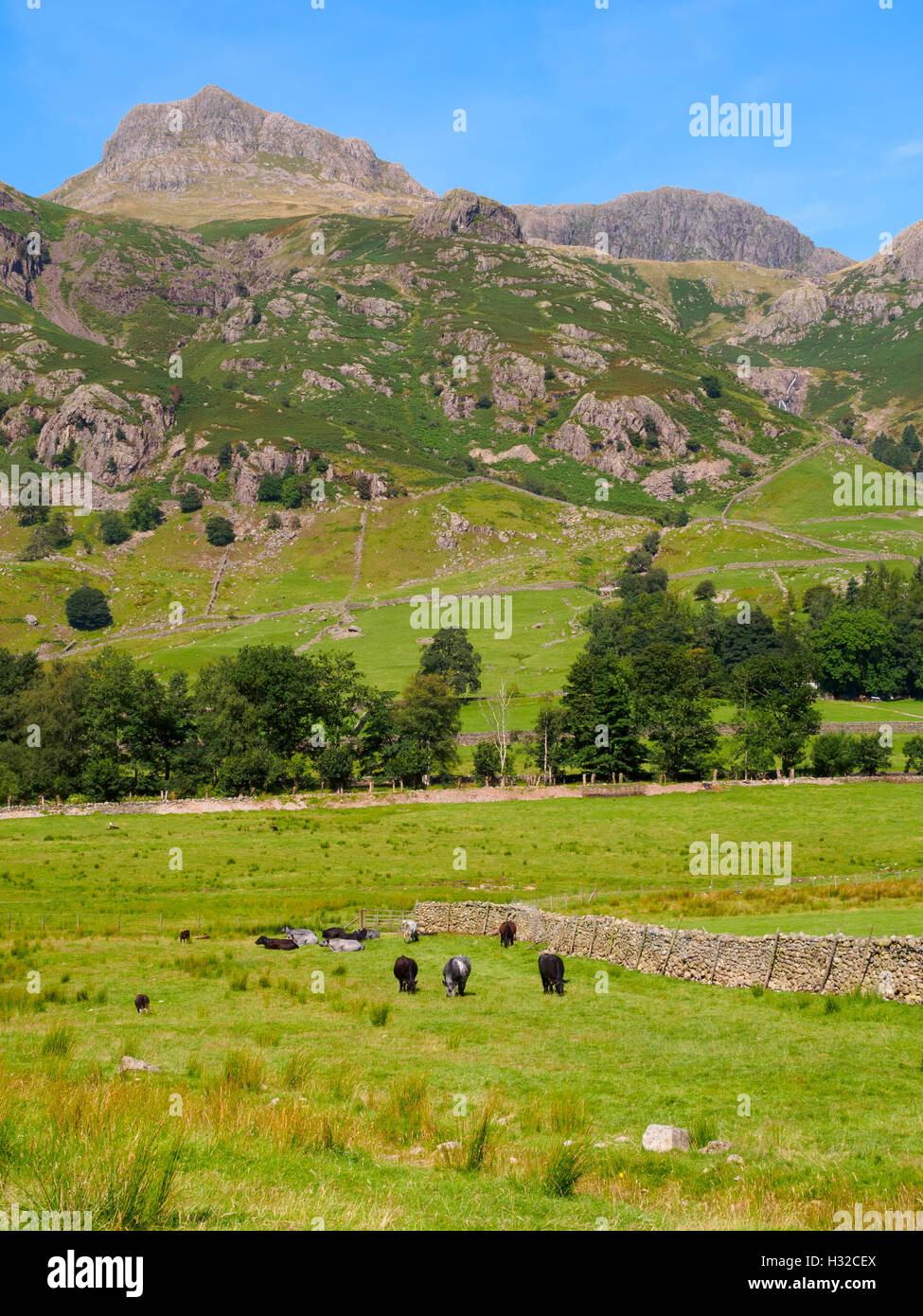 Harrison Stickle and Pavey Ark from Great Langdale Stock Photo