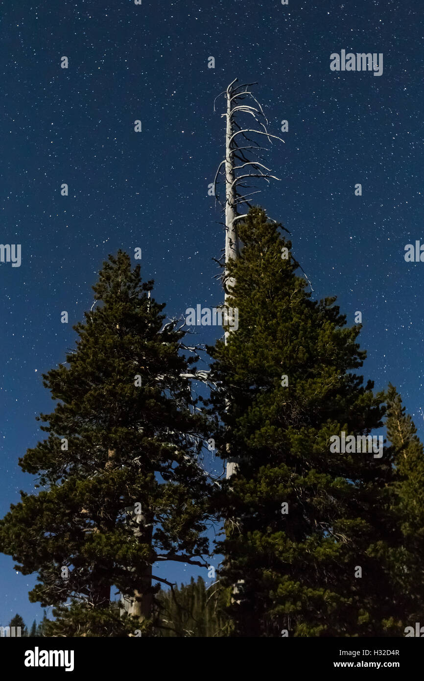 Starry night sky over mountains hi-res stock photography and images - Alamy
