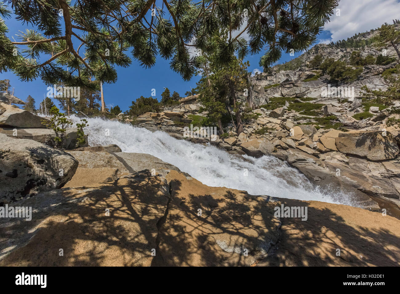 Lodgepole Pine shadows at Horsetail Falls along Pyramid Creek in the