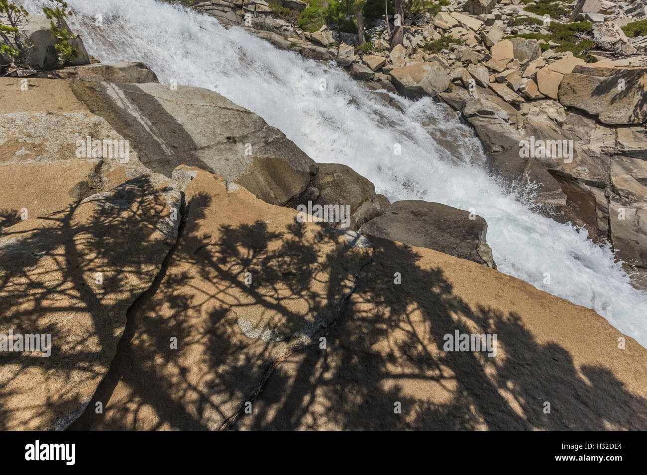 Lodgepole Pine shadows at Horsetail Falls along Pyramid Creek in the