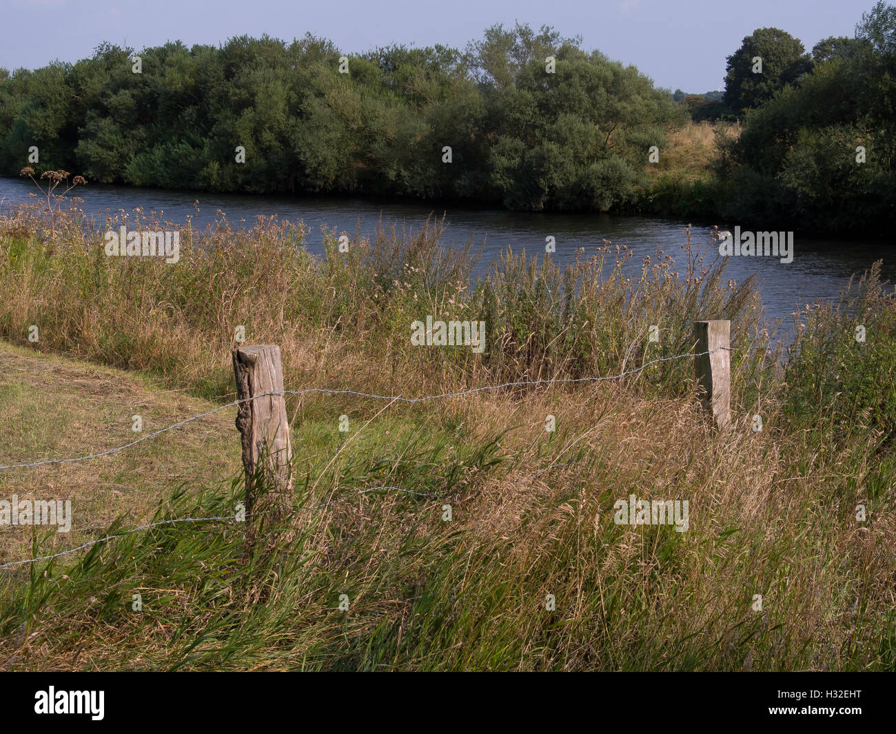 the river ems Stock Photo Alamy