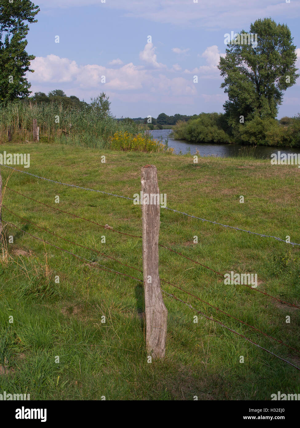 the river ems Stock Photo Alamy