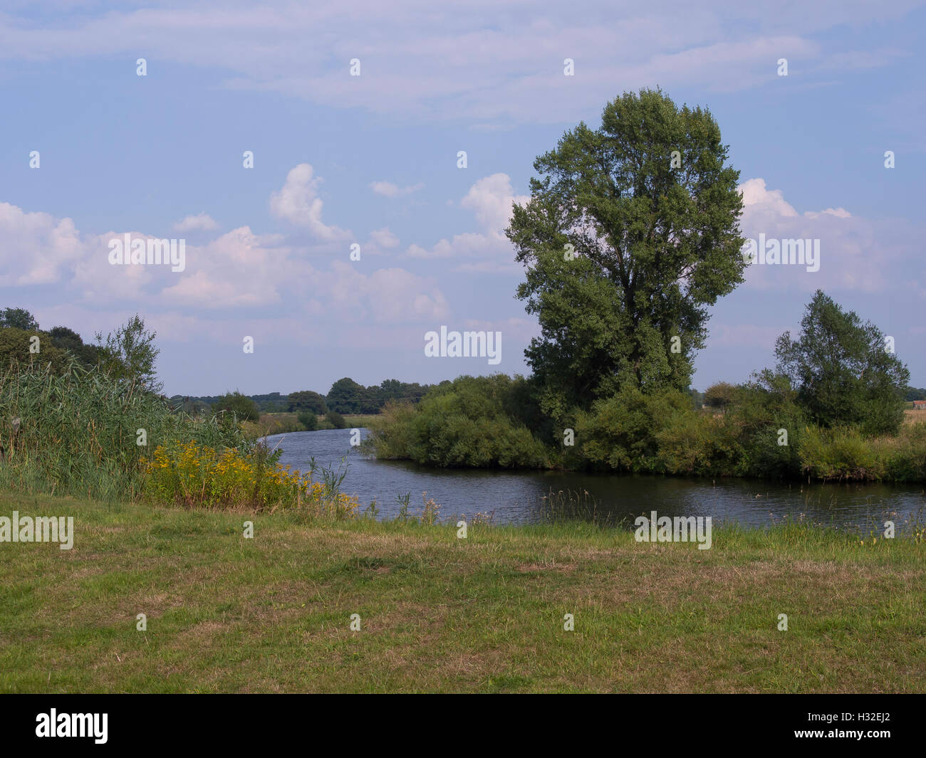 the river ems Stock Photo Alamy
