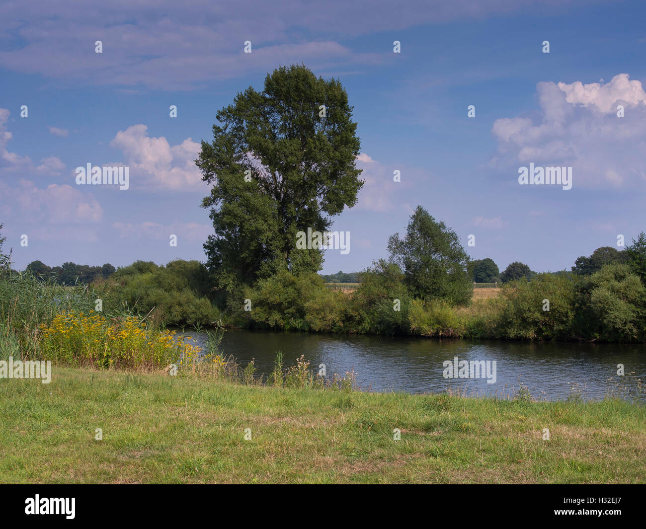 the river ems Stock Photo Alamy