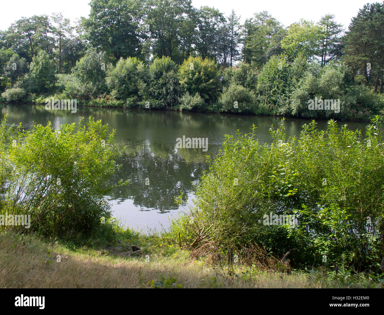 the river ems Stock Photo - Alamy