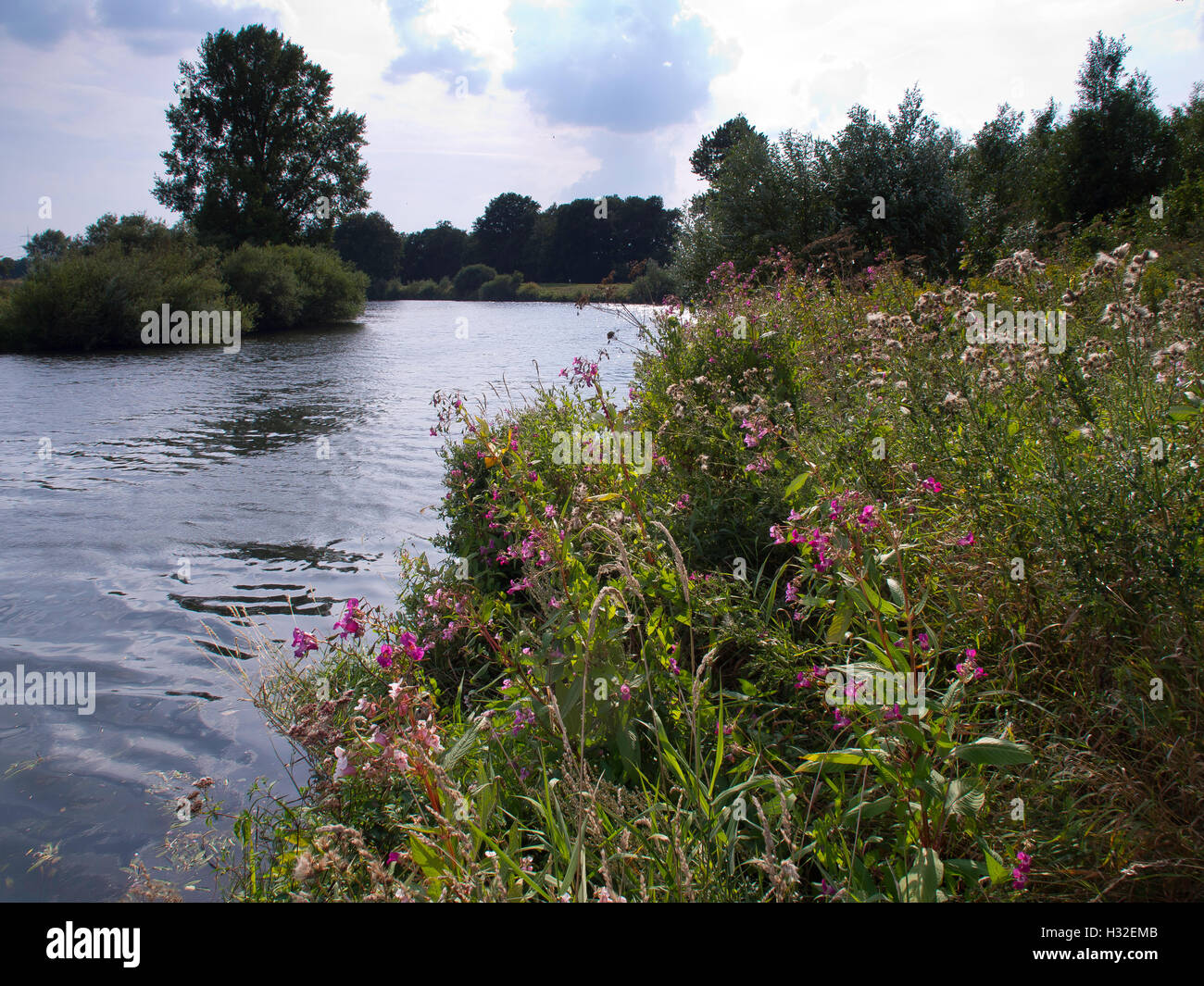 the river ems Stock Photo Alamy