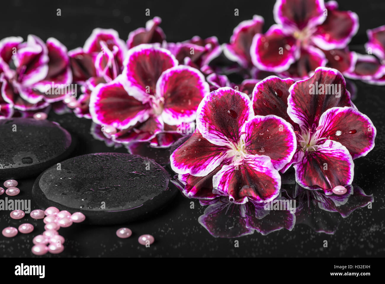 beautiful spa setting of blooming dark purple geranium flower and beads ...
