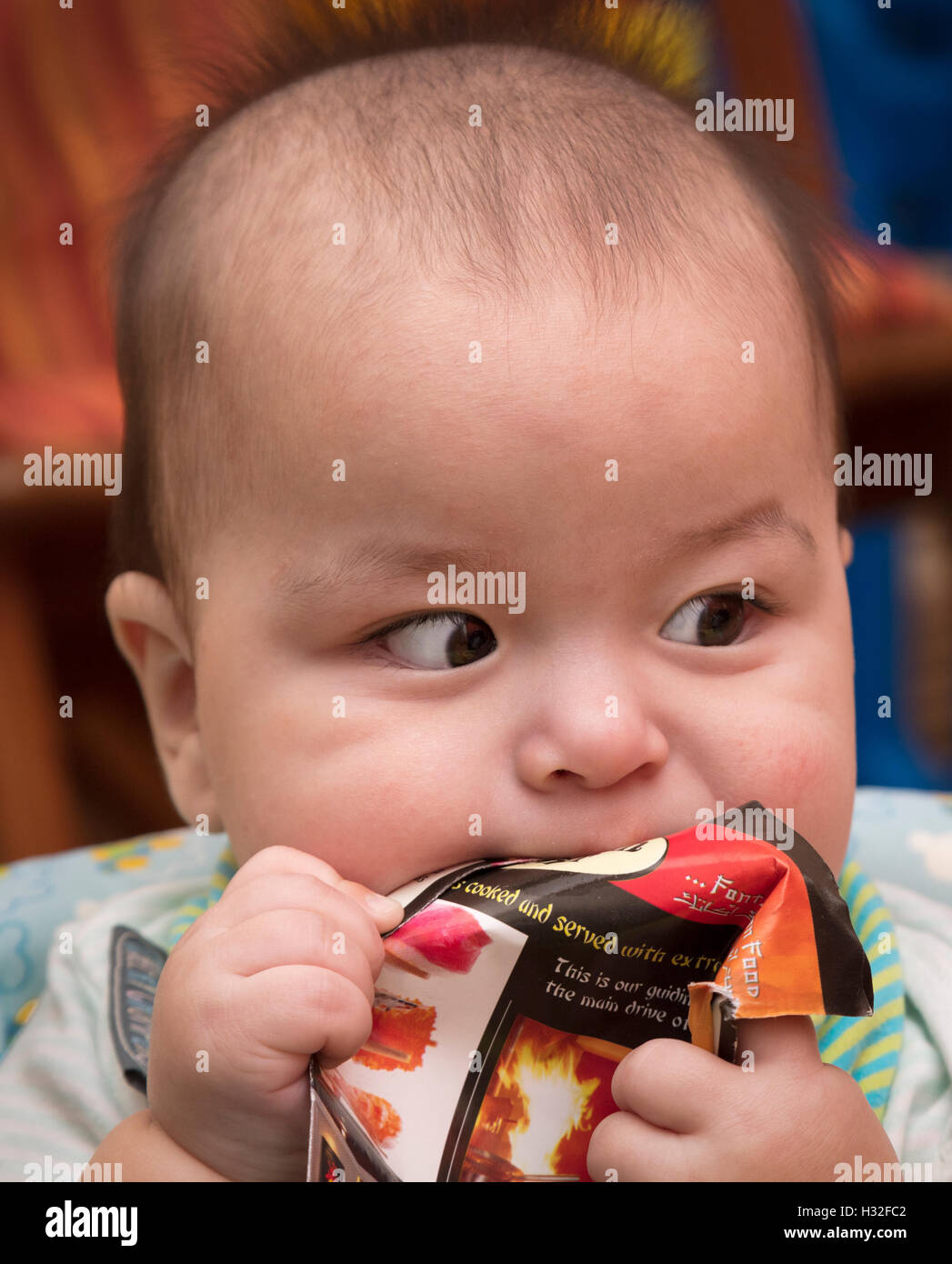 baby chewing on takeaway menu with eyes to one side Stock Photo