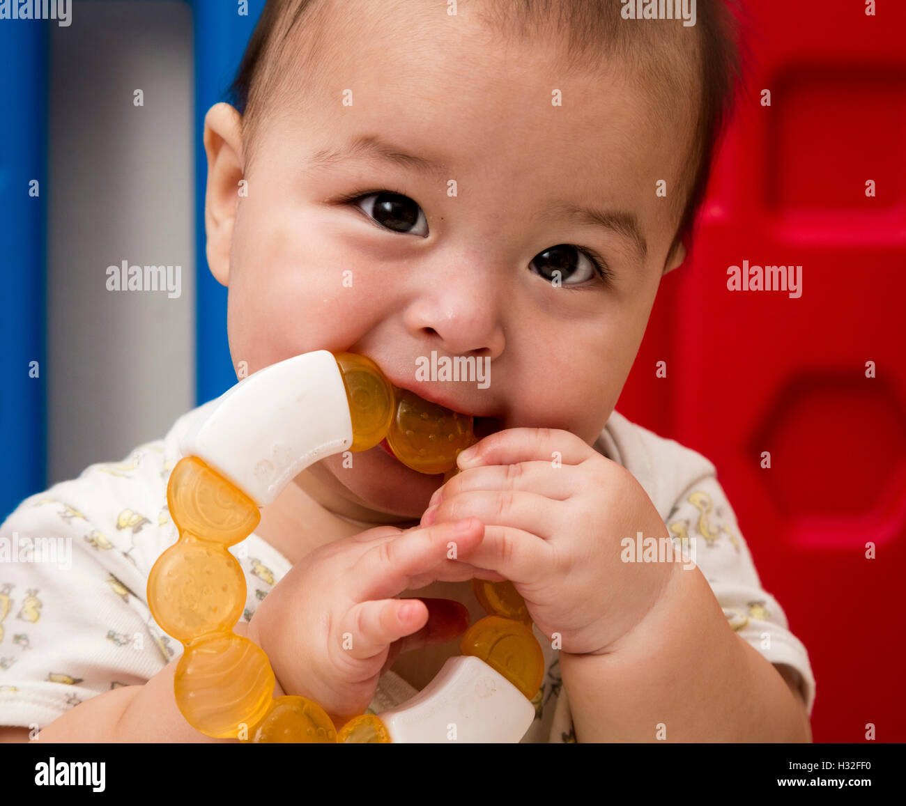 baby playing with chew toy Stock Photo