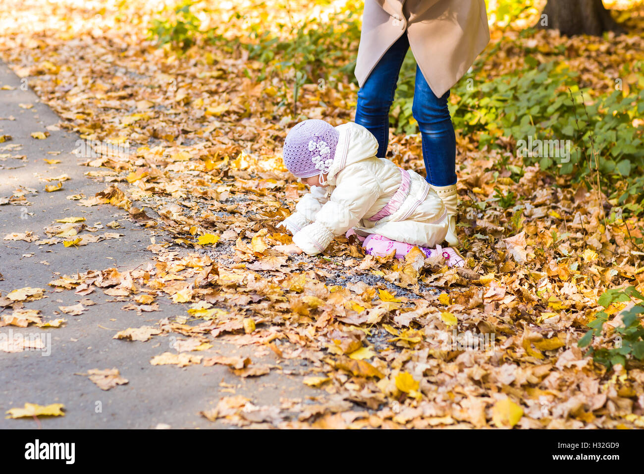 mother and daughter playing together in the autumn park Stock Photo - Alamy