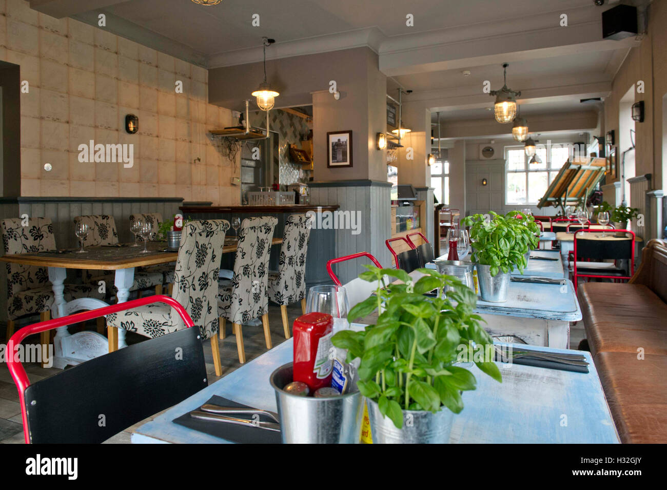 The Architect a public house and restaurant in Cambridge, UK Stock