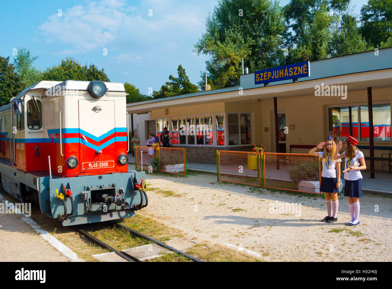 Gyermekvasut, Children's railway, Buda, Budapest, Hungary, Europe Stock