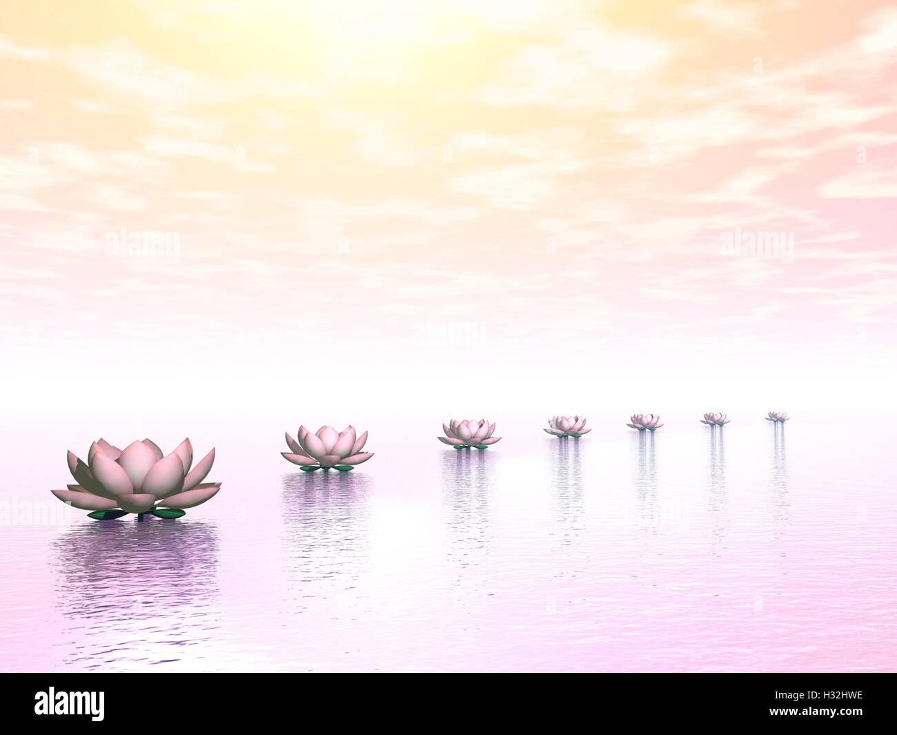 Water lilies steps to the sun - 3D render Stock Photo