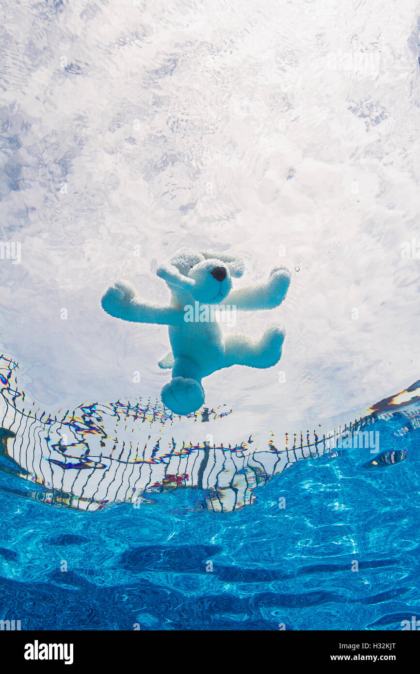 Plush toy in pool Stock Photo