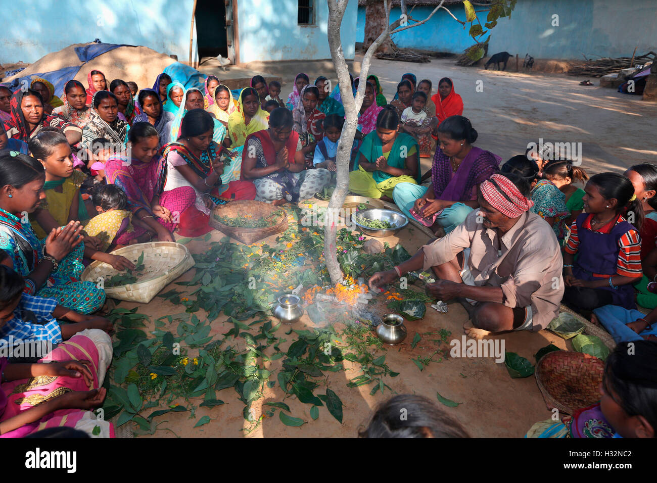 Tribal girls performing Karma puja, BHUMIA TRIBE, Karma village, Bagicha tahsil, Chattisgarh, India Stock Photo