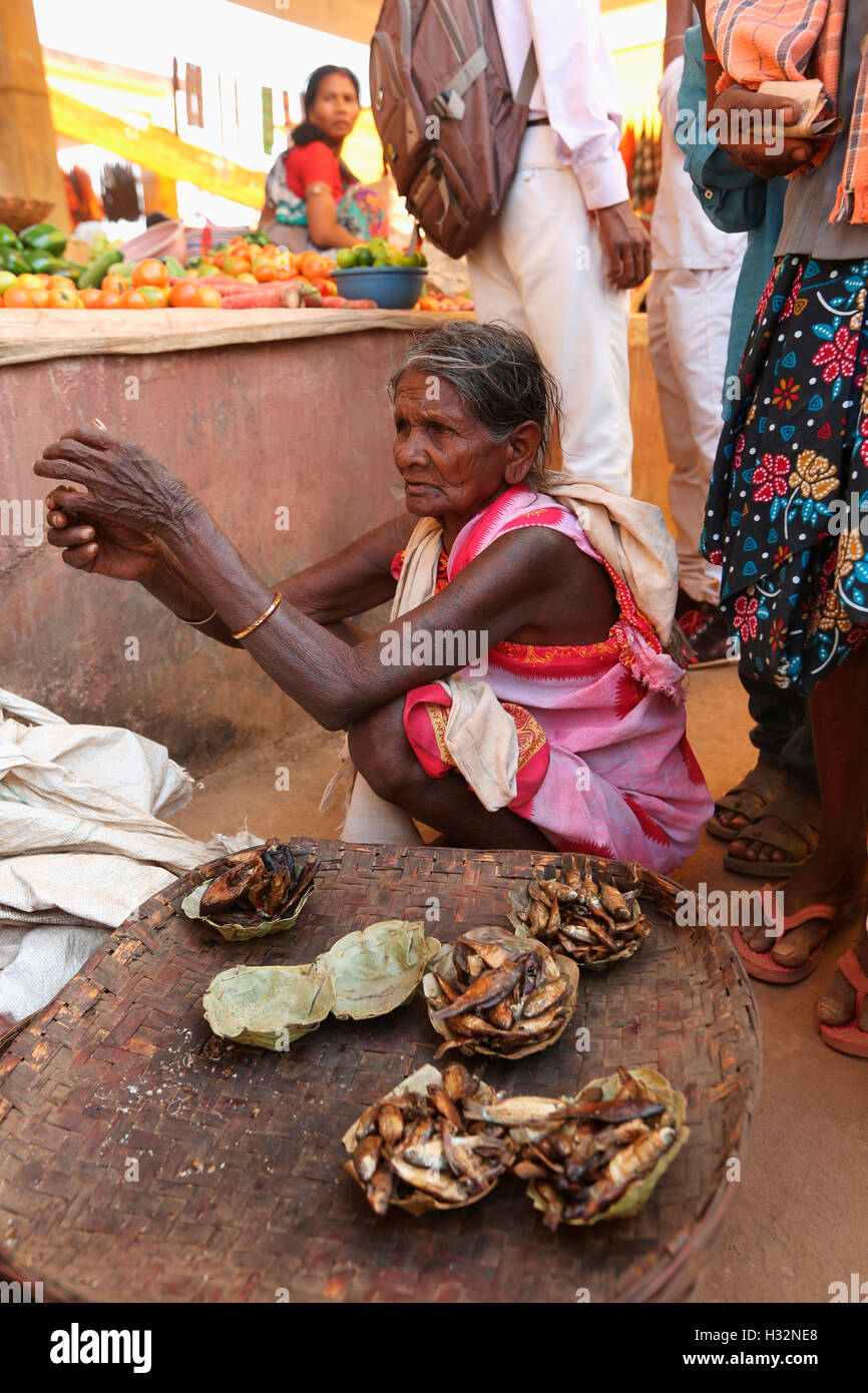 Woman selling Dry Fish, Tribal Market, Jagdalpur, Bastar District, Chattisgadh, India Stock Photo