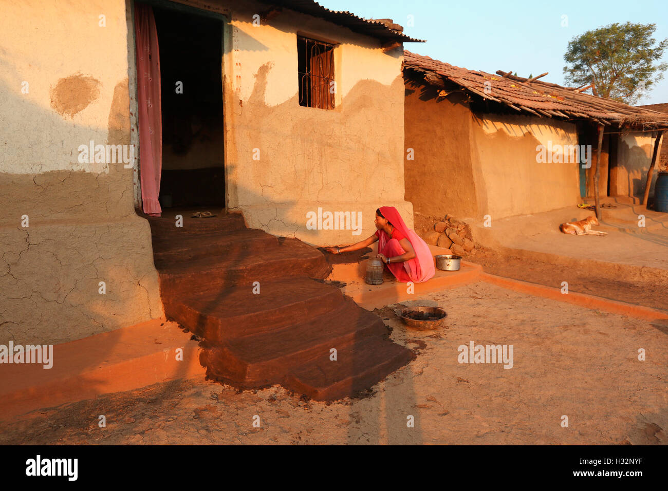 Woman smearing floor with cow dung, KORKU TRIBE, Lawada Village, Maharashtra, India Stock Photo