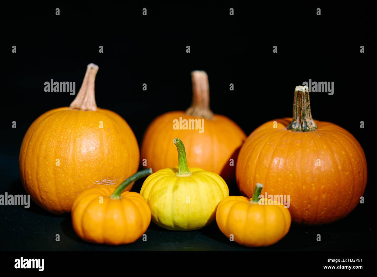 Pumpkins on black background Stock Photo - Alamy