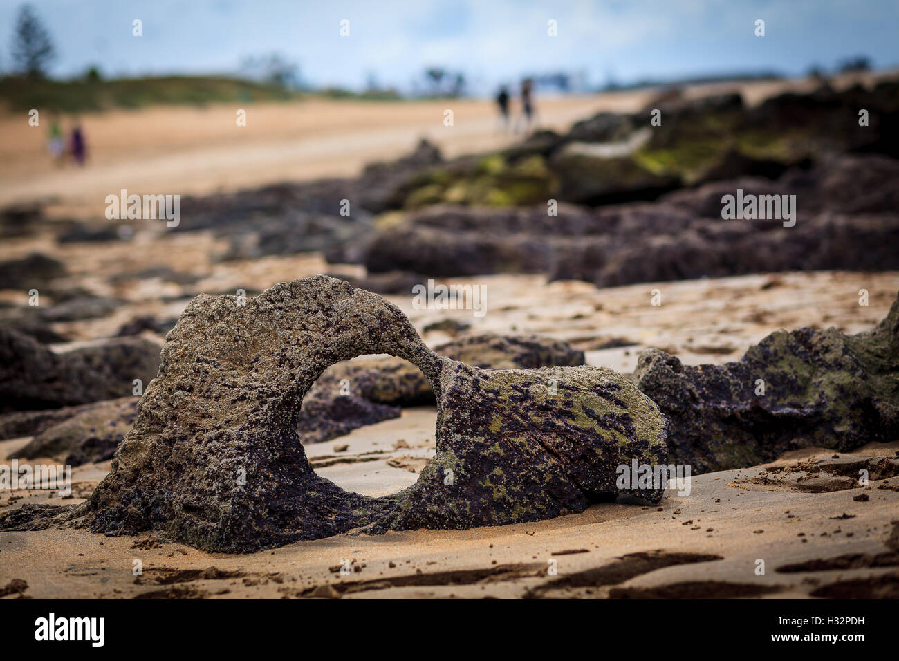 Strange round hole in a beach stone Stock Photo Alamy