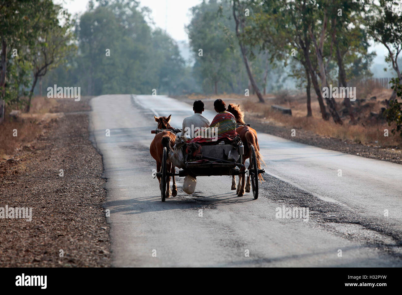 Hotrse cart on road, Aurangabad, Maharashtra, India Stock Photo