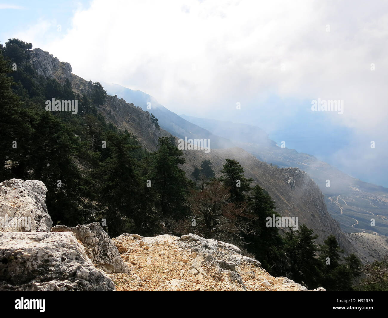 Rocky mountain forest hi-res stock photography and images - Alamy