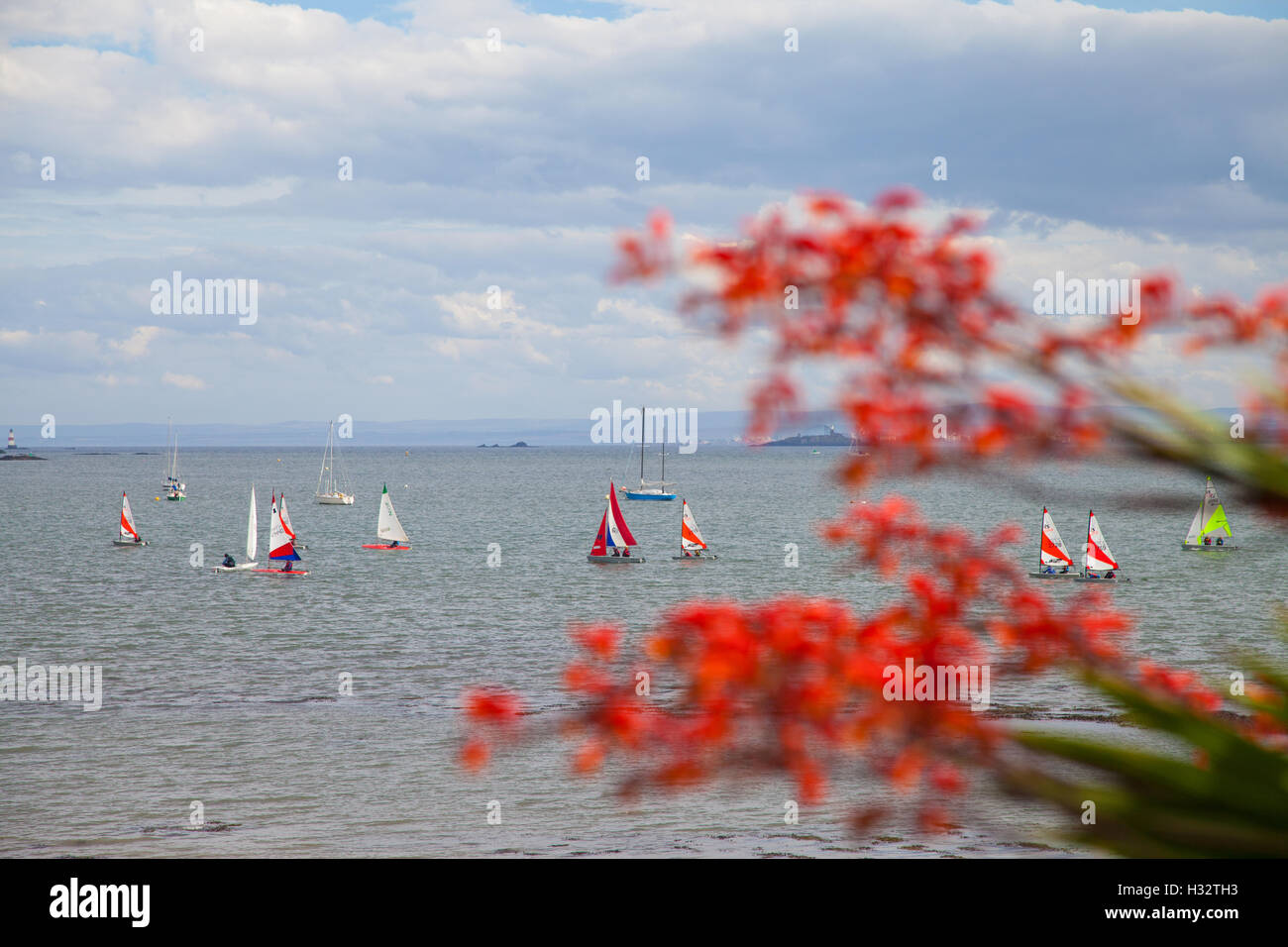 Sailing boats on the Firth of Forth at Dalgety Bay, Fife, Scotland. Stock Photo