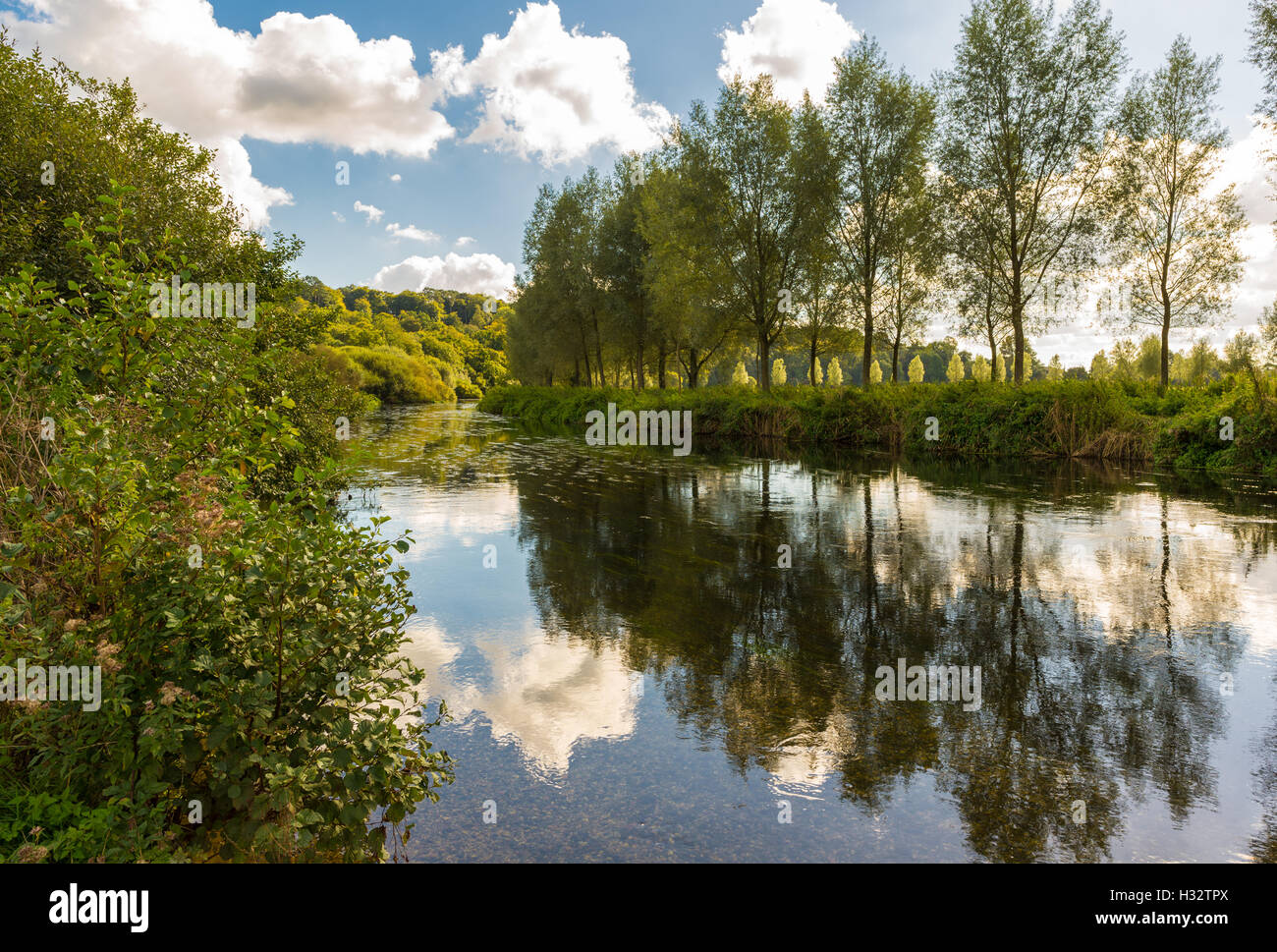 Tree lined River Avon near Fordingbridge, Hampshire, UK. Stock Photo