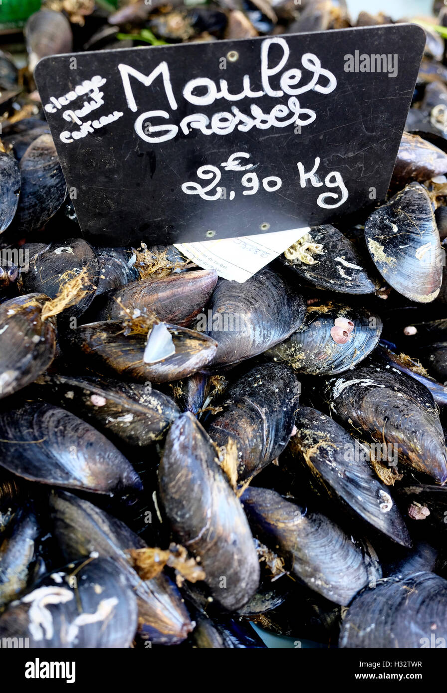 Steer Cook Clothes Local mussels hi-res stock photography and images - Alamy