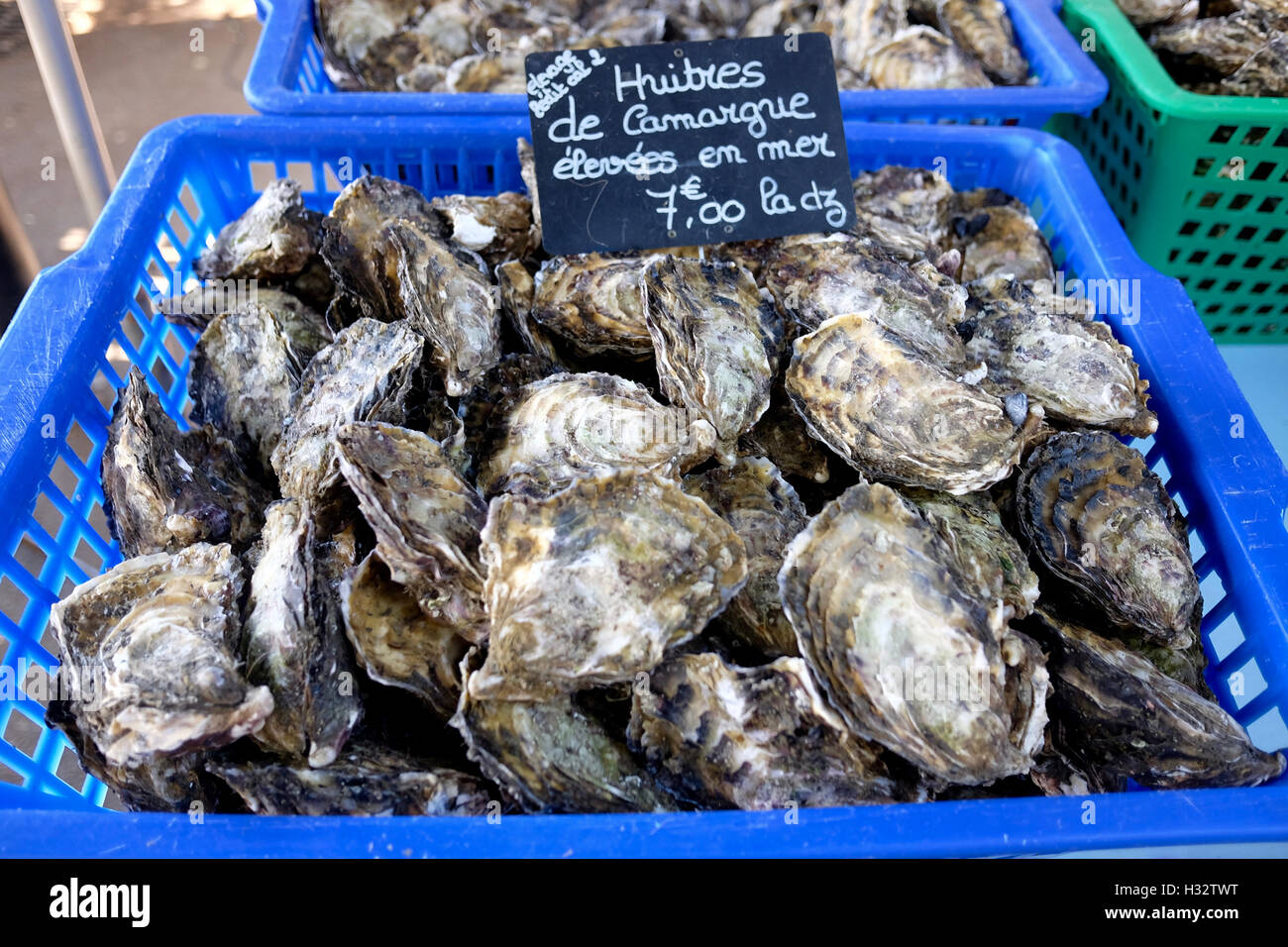 Oysters for sale at local market Stock Photo Alamy