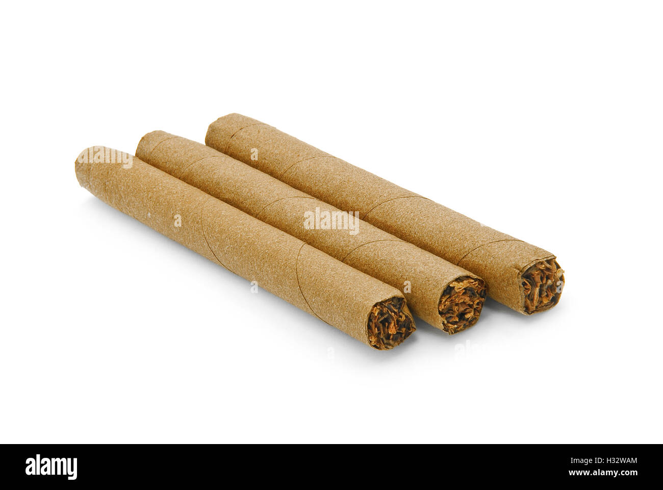 where can i buy tobacco seeds in australia 10,000+pcs Tobacco seeds Burley64