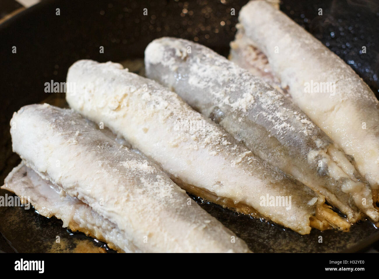 Fried hake fish fillet in a frying pan at kitchen Stock Photo Alamy
