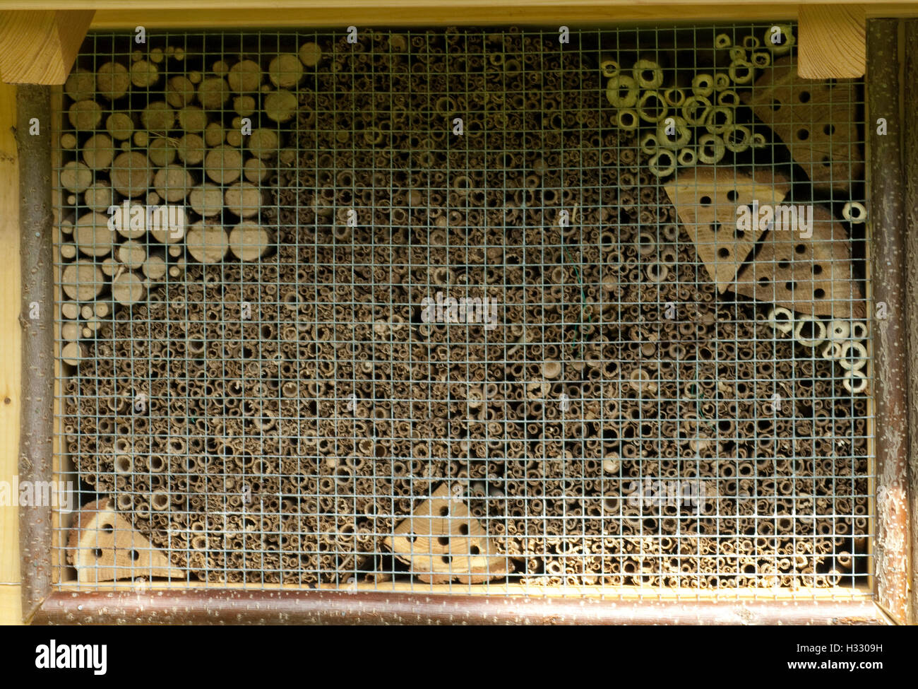 Insektenhotel, Insektenunterschlupf, Insekten Stock Photo