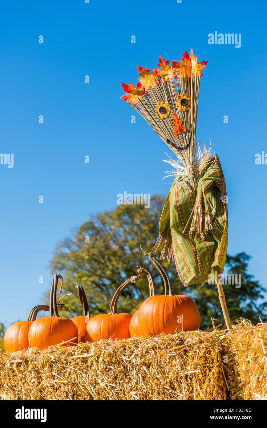 Fall display country fair pumpkins Stock Photo