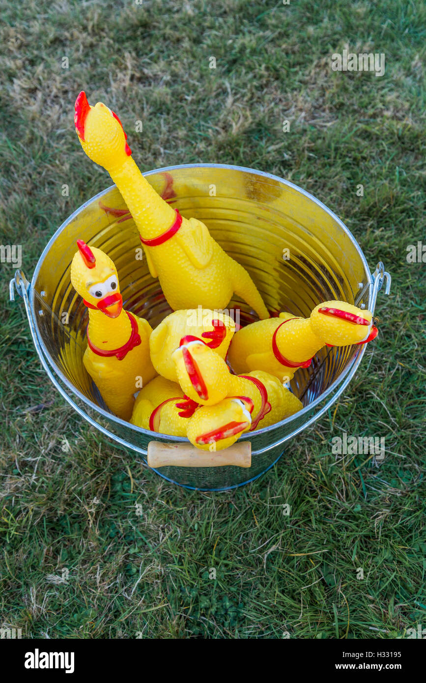 bucket of rubber chickens Stock Photo