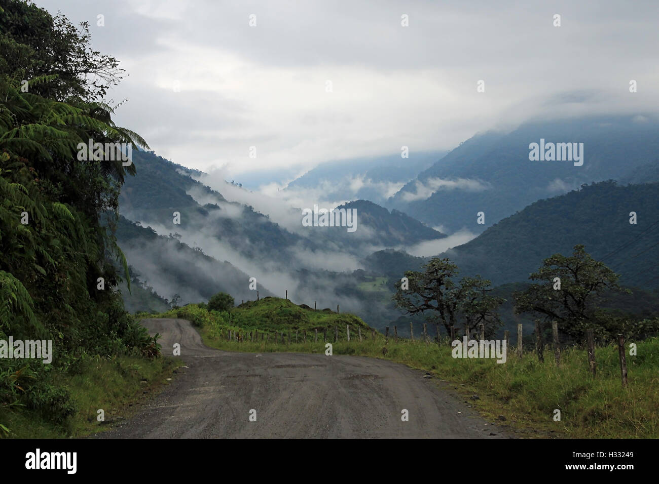 Road trough cloudforest in ecuadorian mountains driving down to amazonas basin. Stock Photo