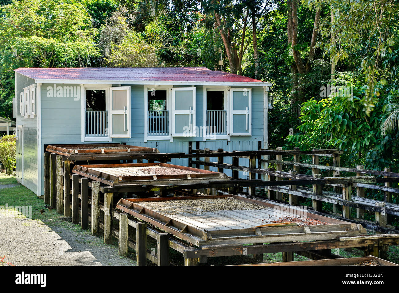 Slaves quarters and wooden coffee pans, Hacienda Buena Vista, near