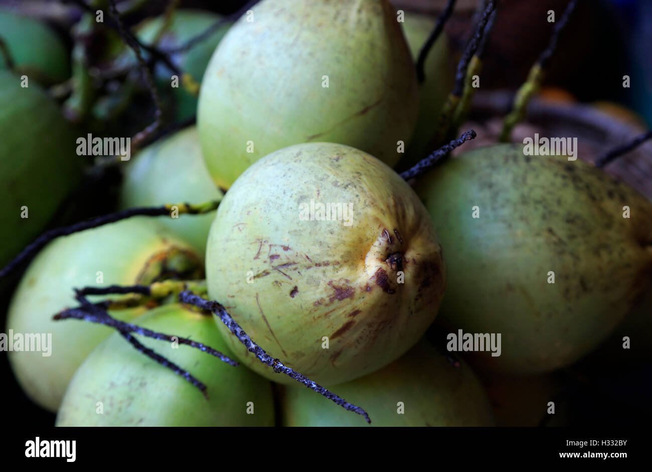 Coconuts, Farmers Market, Museo de San Juan (San Juan Museum), Old San