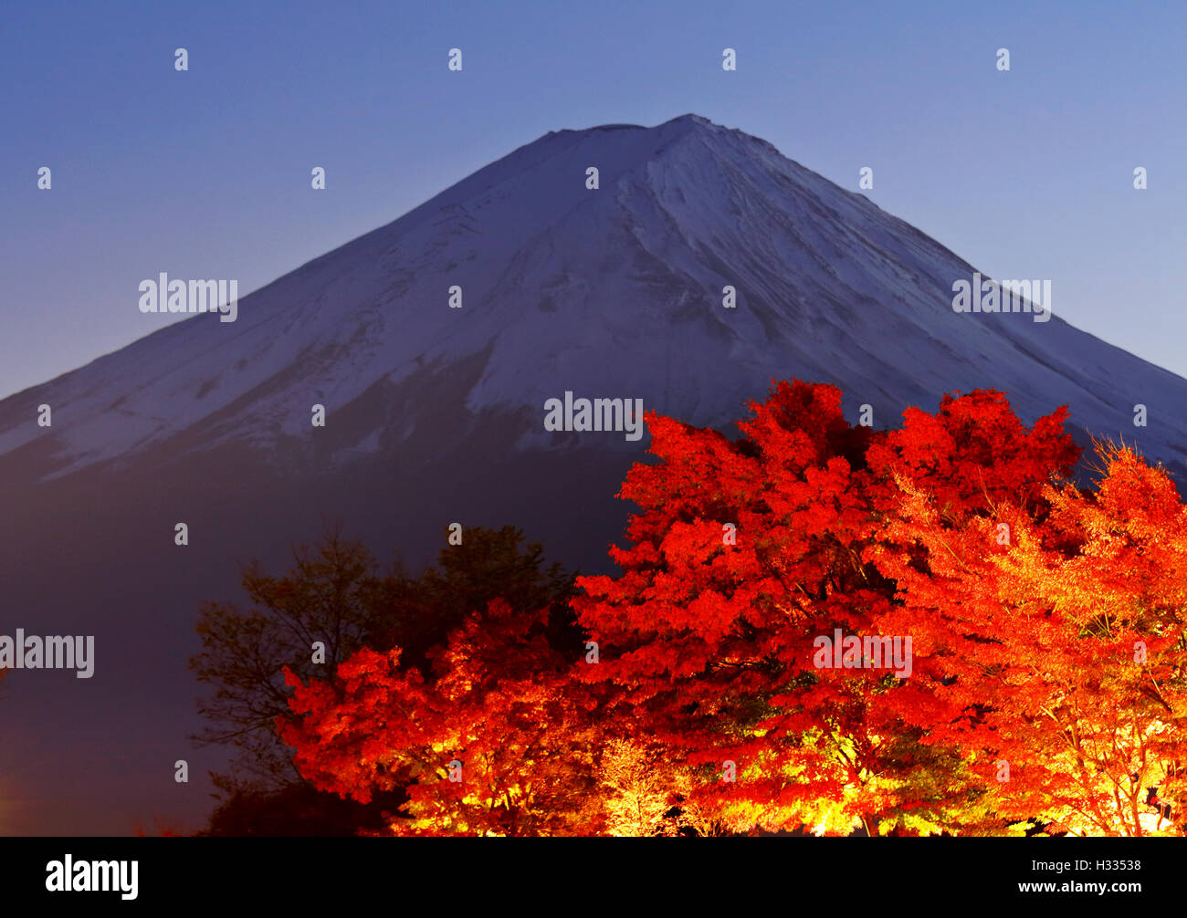 Mountain Fuji with maple Stock Photo - Alamy