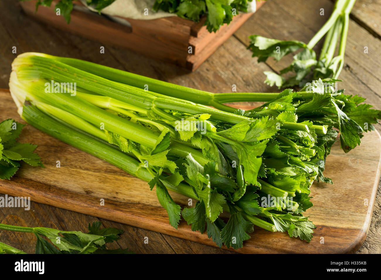 Raw Organic Green Celery Stalks Ready to Eat Stock Photo Alamy