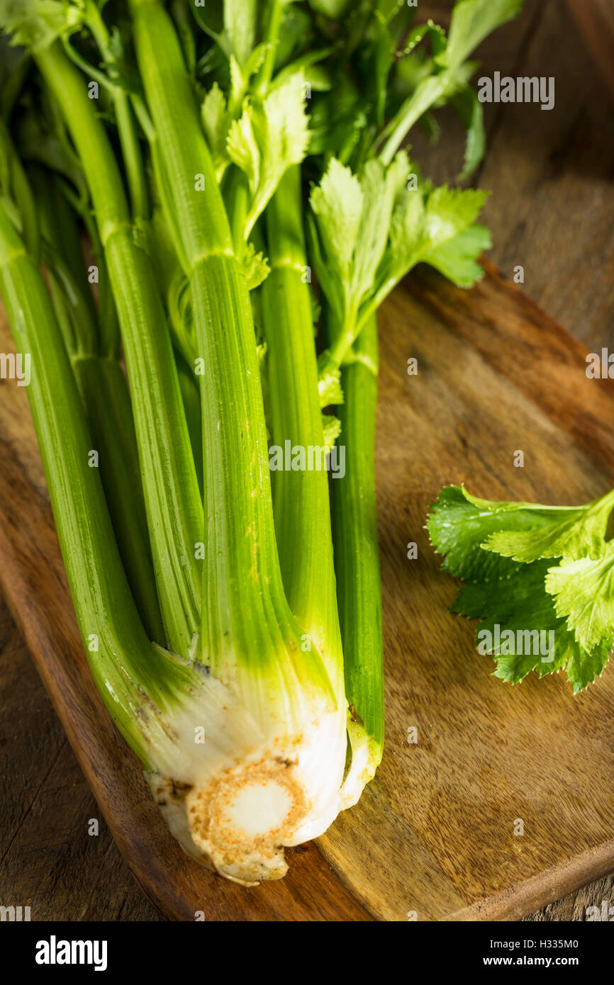 Raw Organic Green Celery Stalks Ready to Eat Stock Photo Alamy