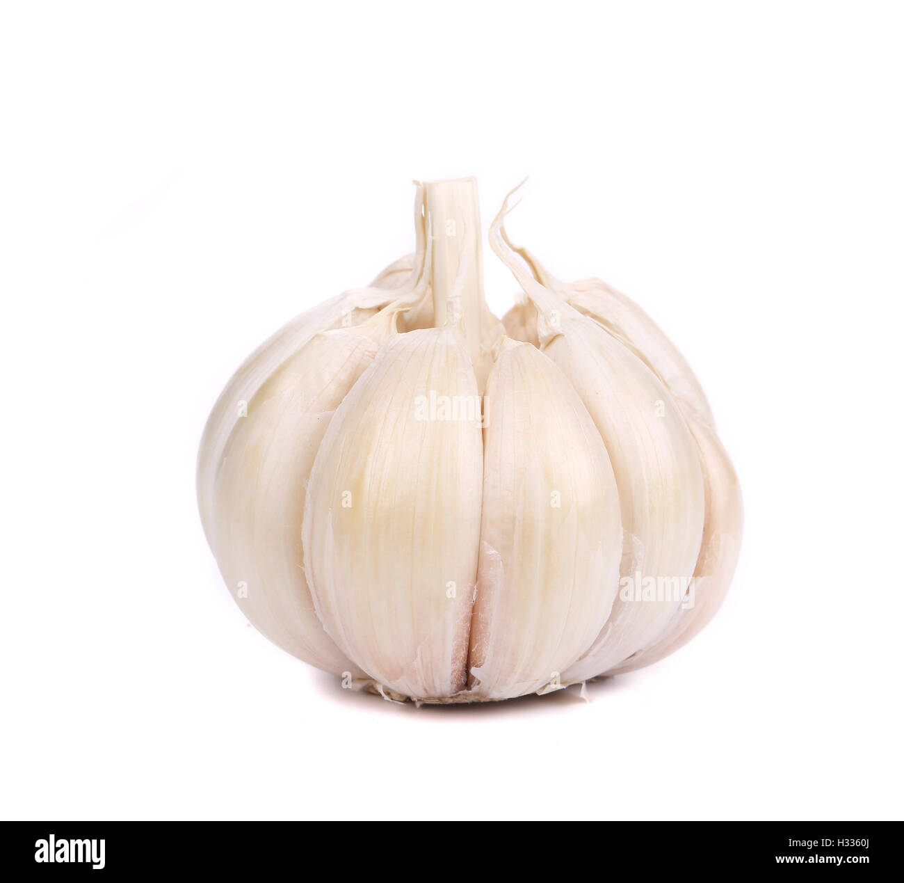 Head of garlic Stock Photo Alamy