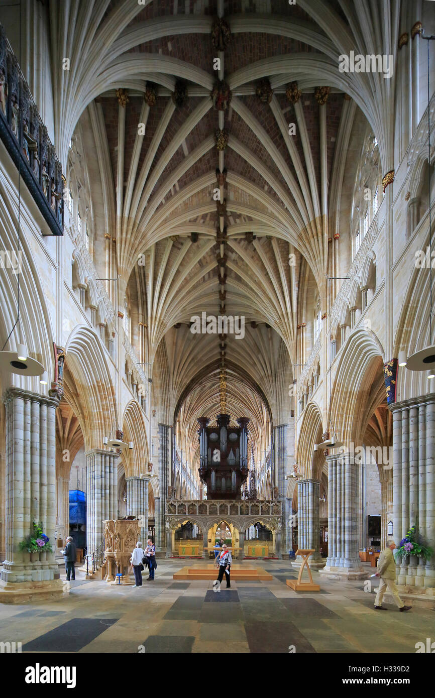 Nave, The Cathedral Church of St Peter, Exeter, Devon, England, United Kingdom Stock Photo