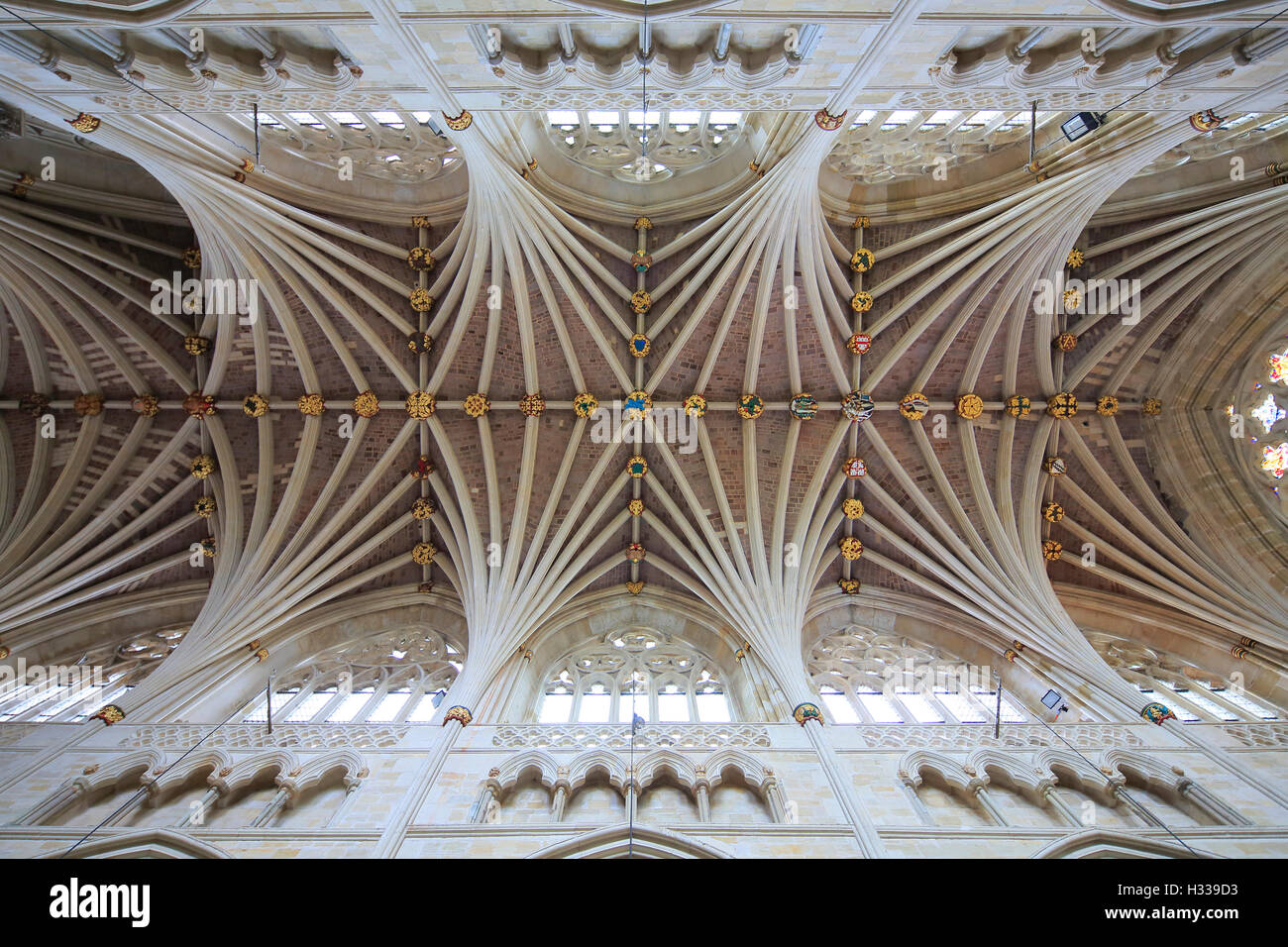 Fan vaulting, nave, The Cathedral Church of St Peter, Exeter, Devon, England, United Kingdom Stock Photo