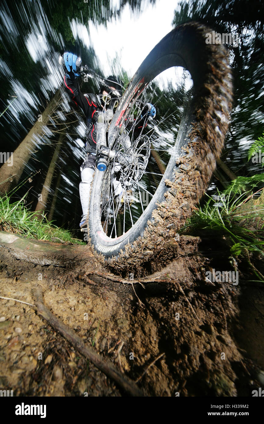 Downhill mountain biker riding on a trail through a forest Stock Photo