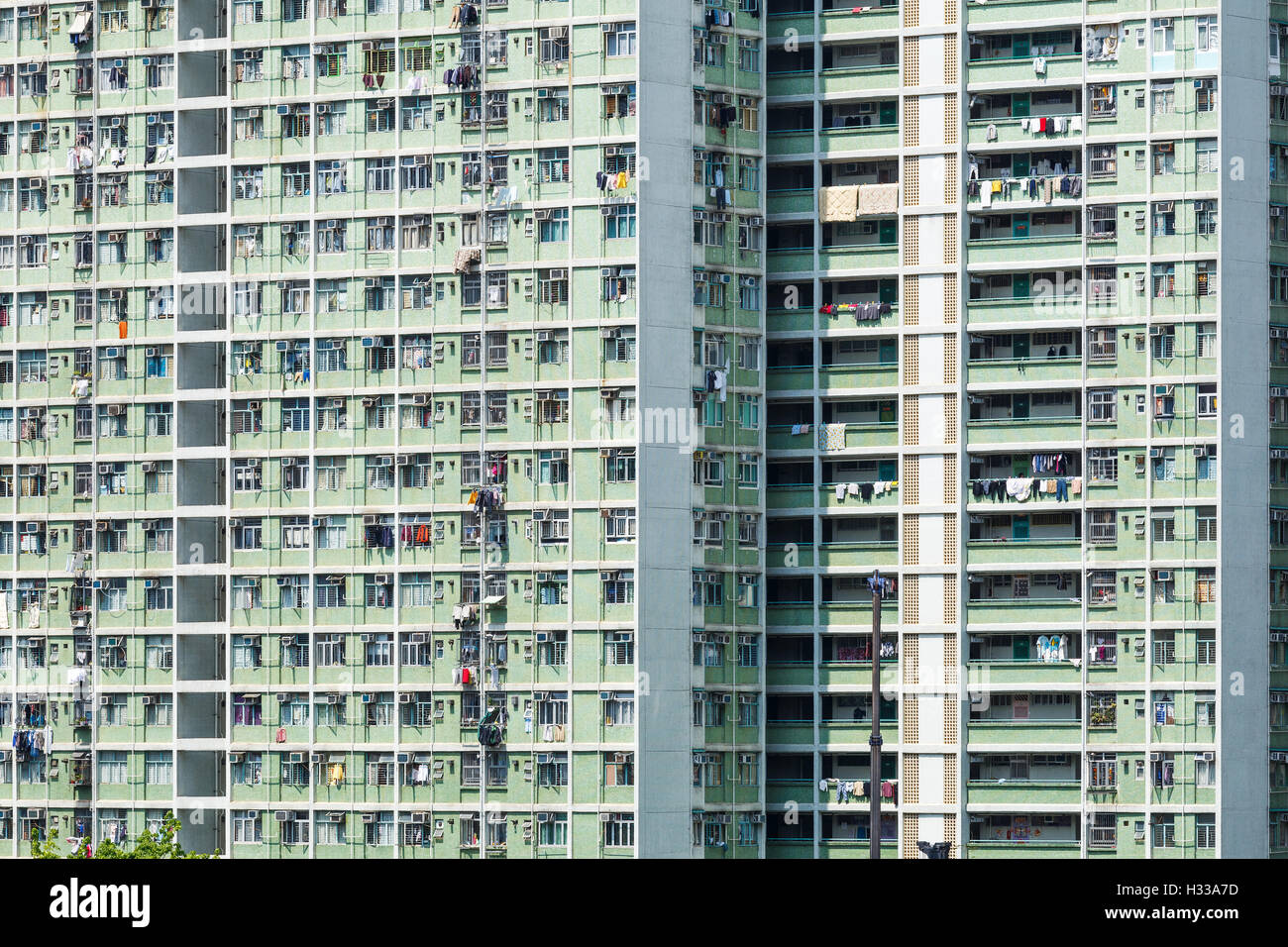Public housing in Hong Kong Stock Photo Alamy