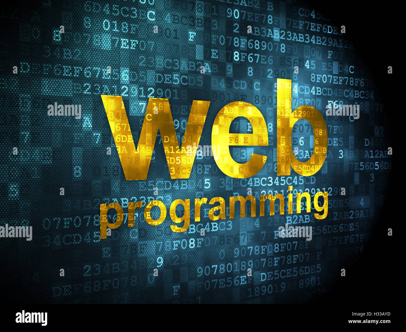 SEO web development concept: Web Programming on digital background ...